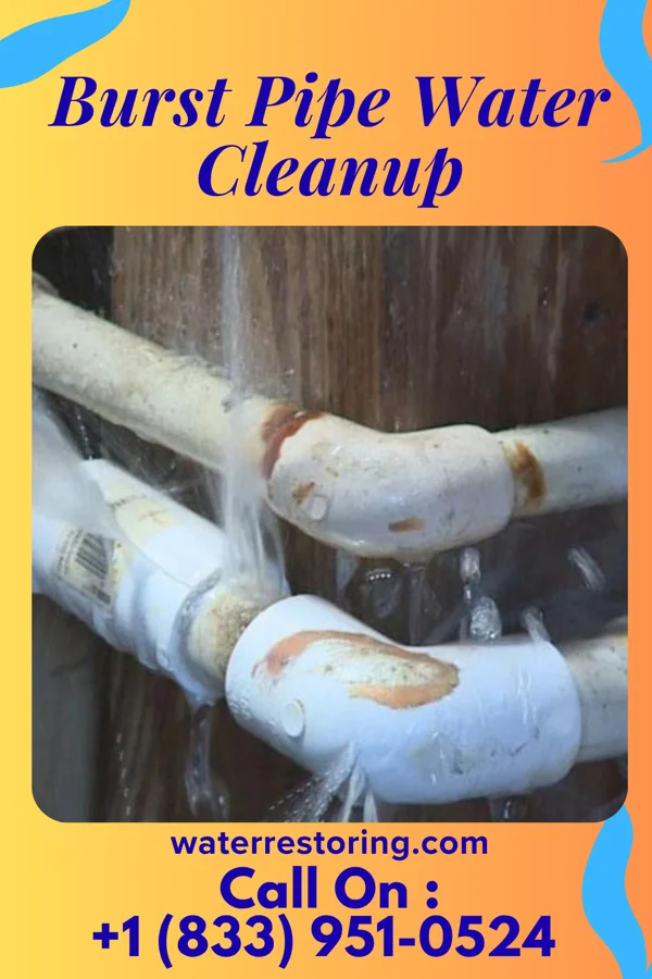 Burst Pipe Water Cleanup in Whittemore, MI