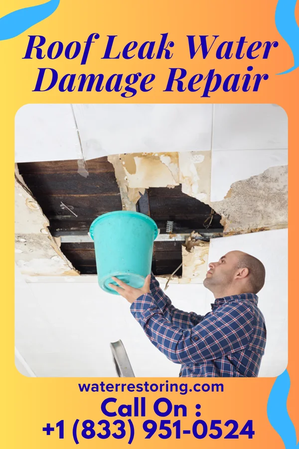 Roof Leak Water Damage Repair in Whittemore, MI