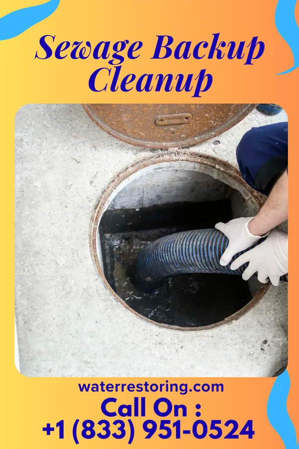 Sewage Backup Cleanup in Whittemore, MI
