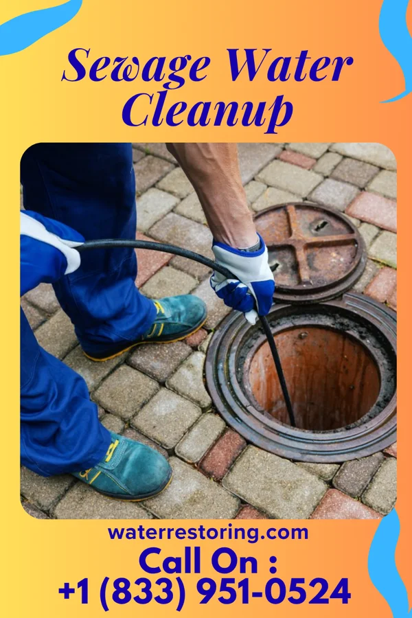 Sewage Water Cleanup in Whittemore, MI