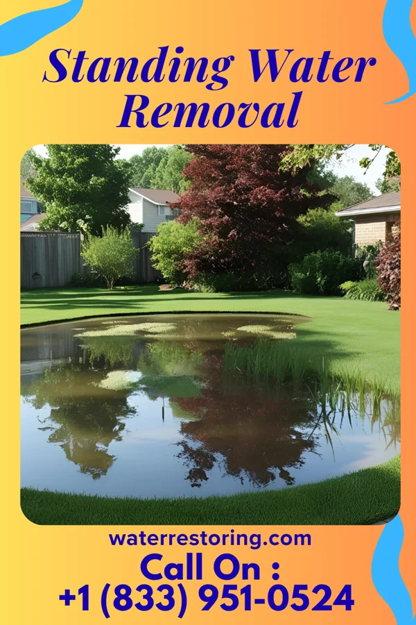 Standing Water Removal in Whittemore, MI